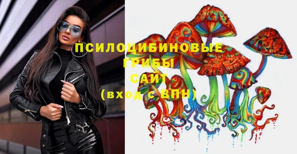 стаф Беломорск