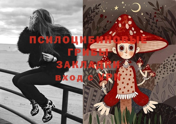 синтетический гашиш Белокуриха