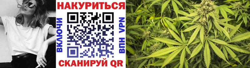 Бошки Шишки планчик  Шебекино 